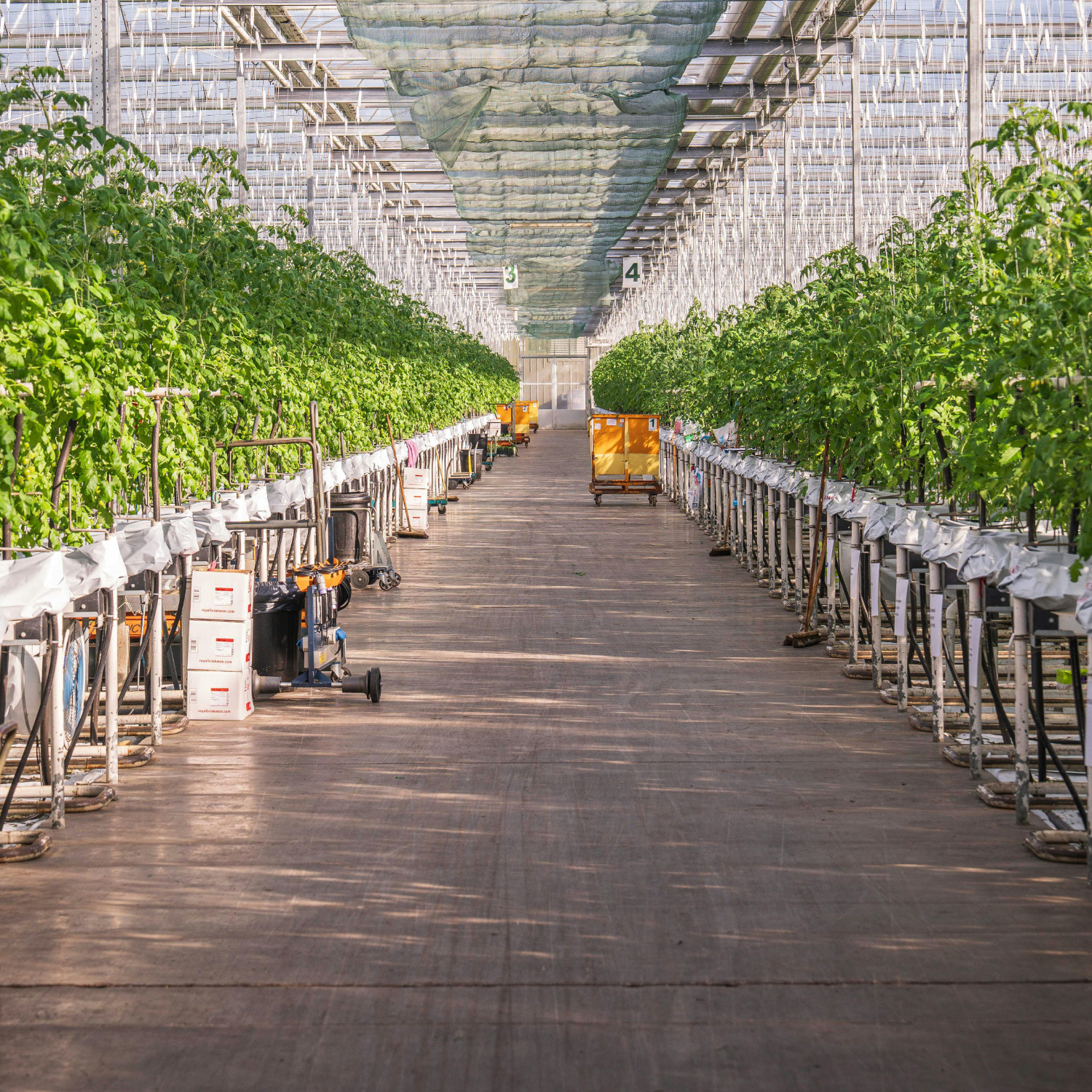 image of drone surveying crops